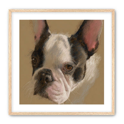 Close portrait with upright ears