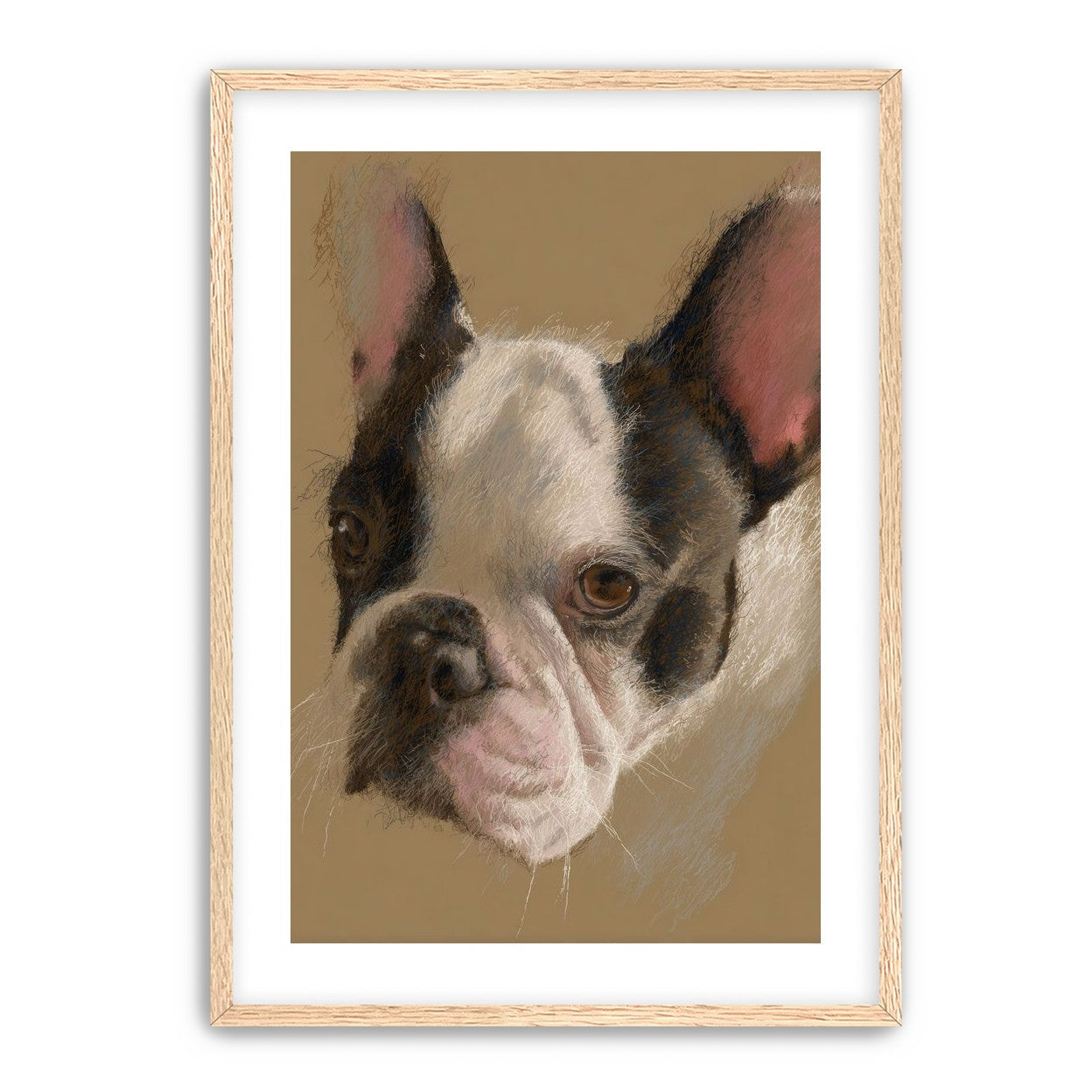 Close portrait with upright ears