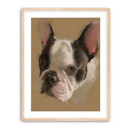 Close portrait with upright ears