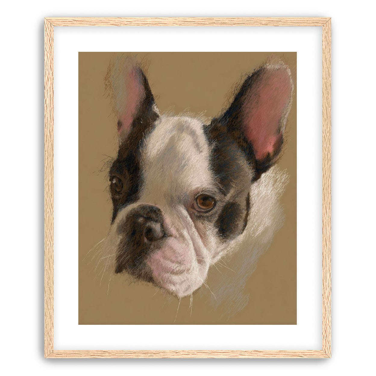 Close portrait with upright ears