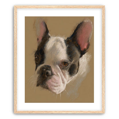 Close portrait with upright ears