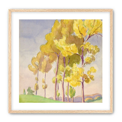 Yellow crowns on the hill
