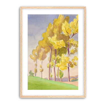 Yellow crowns on the hill