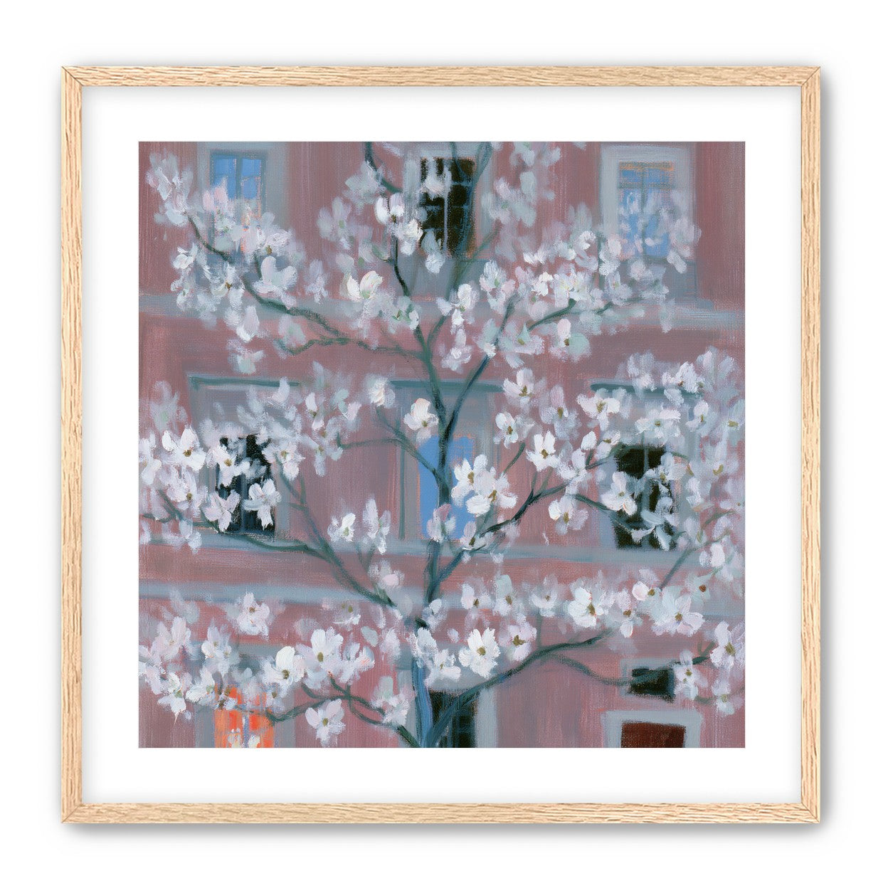White blossoms against the pink house