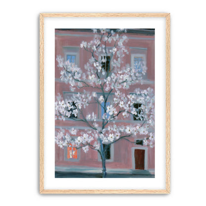 White blossoms against the pink house