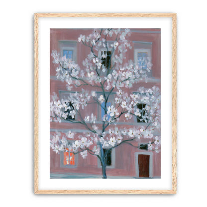 White blossoms against the pink house