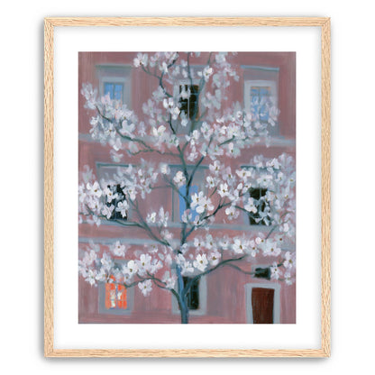 White blossoms against the pink house