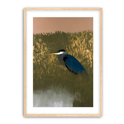 Heron among the reeds