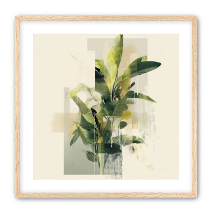 Plant in layered light