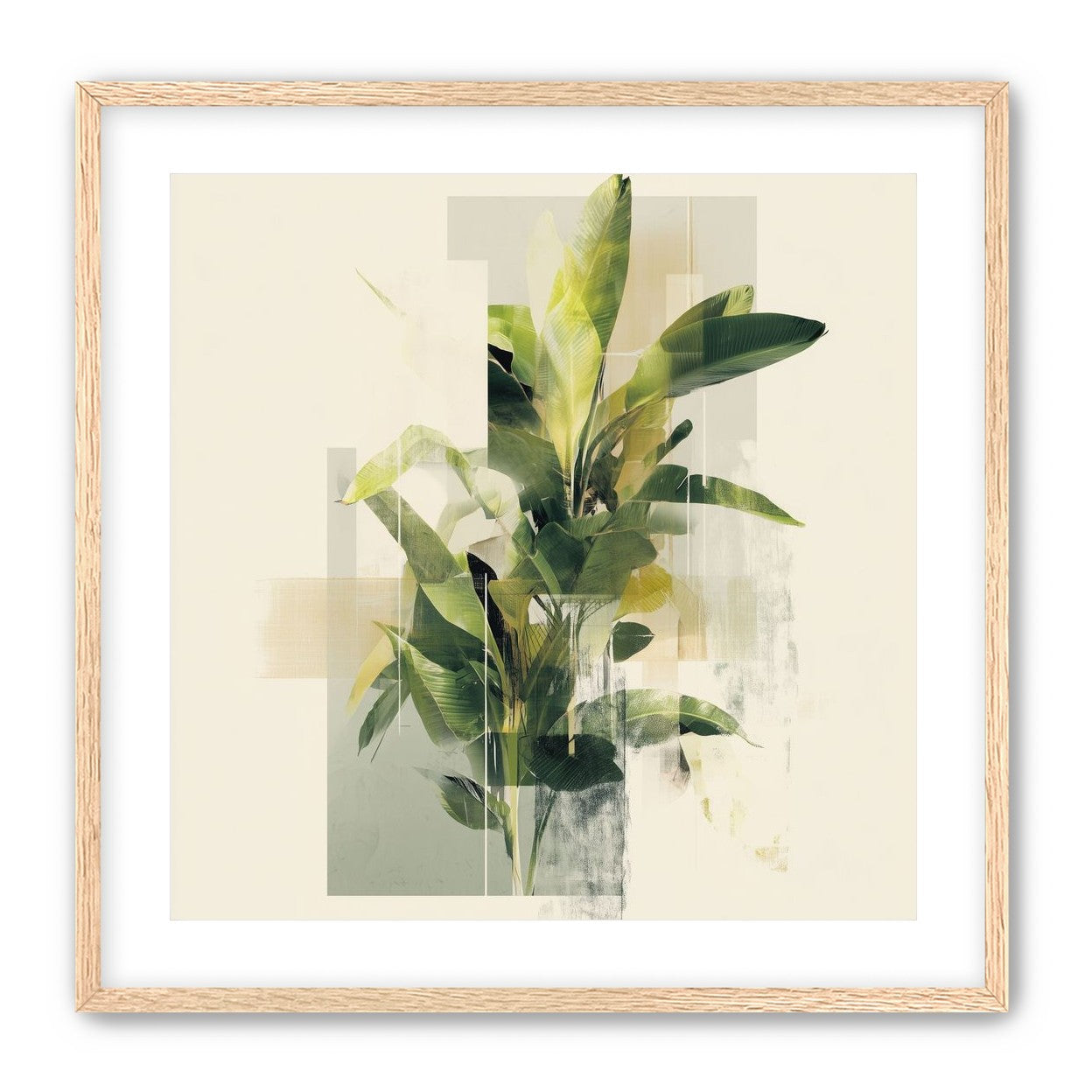 Plant in layered light