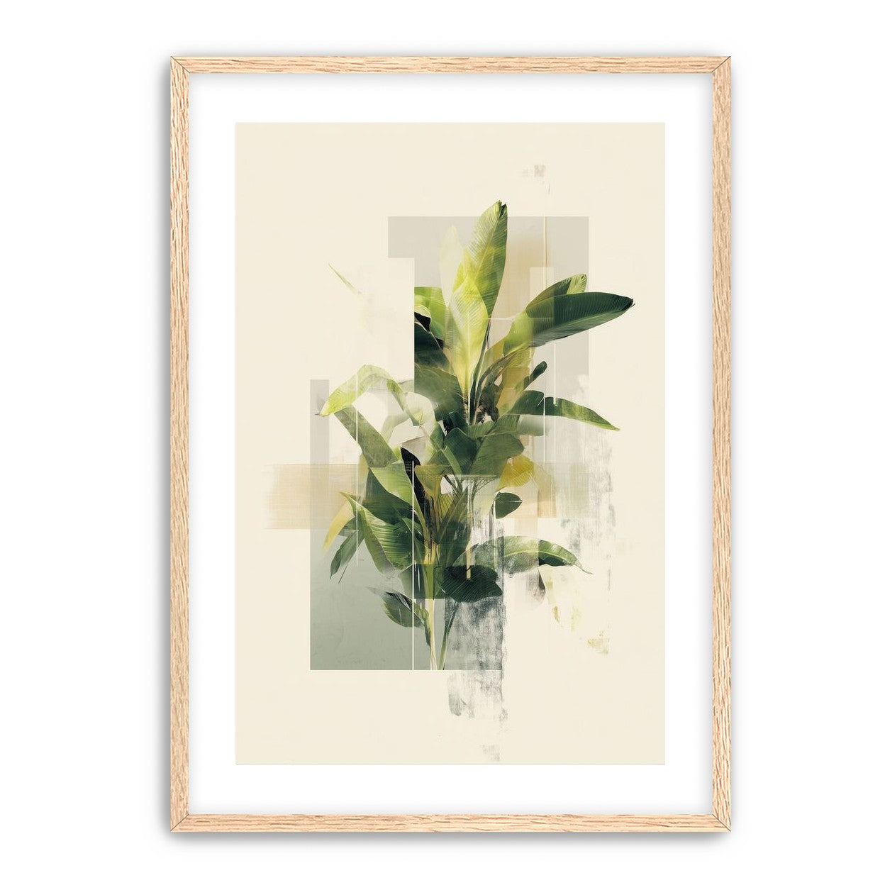 Plant in layered light