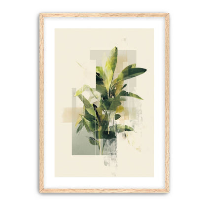 Plant in layered light