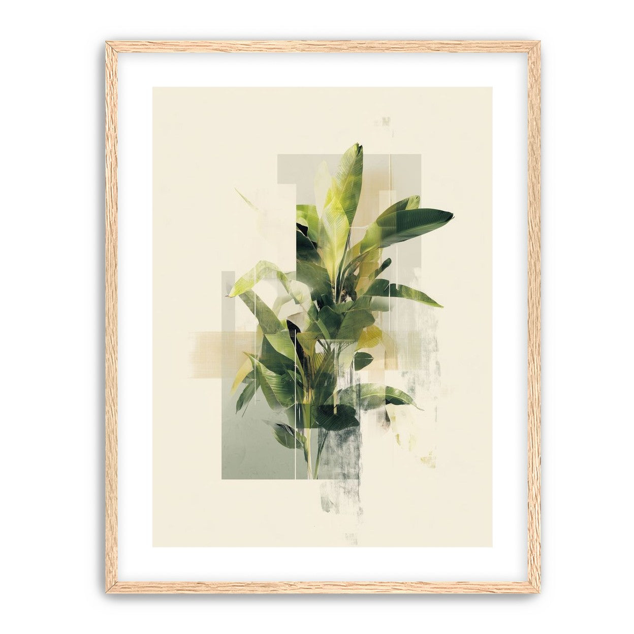 Plant in layered light