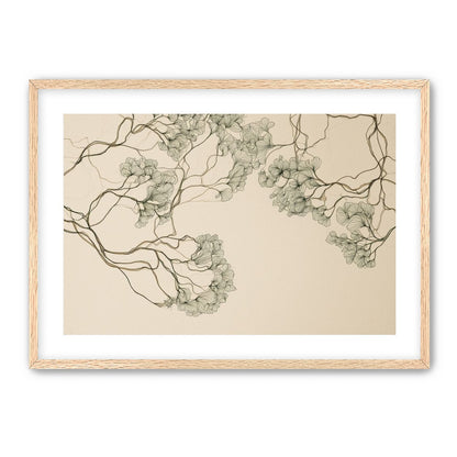 Trees Drawn in Continuous Lines