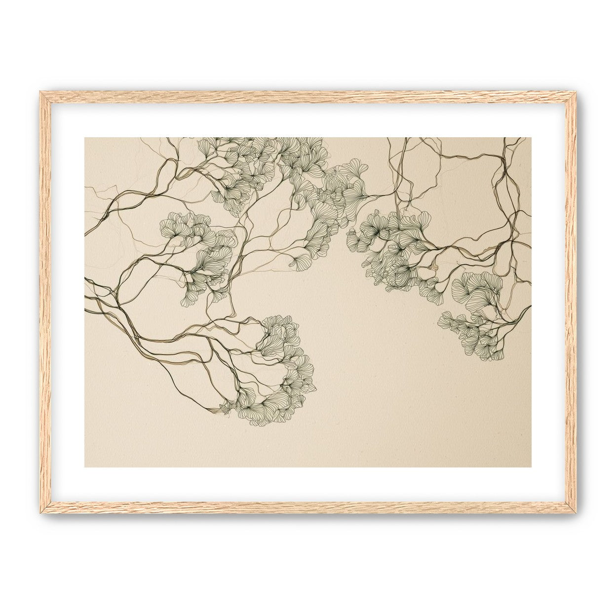 Trees Drawn in Continuous Lines