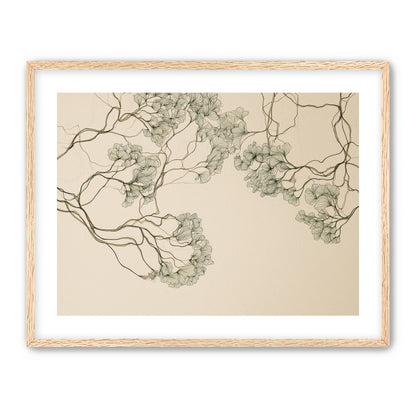Trees Drawn in Continuous Lines