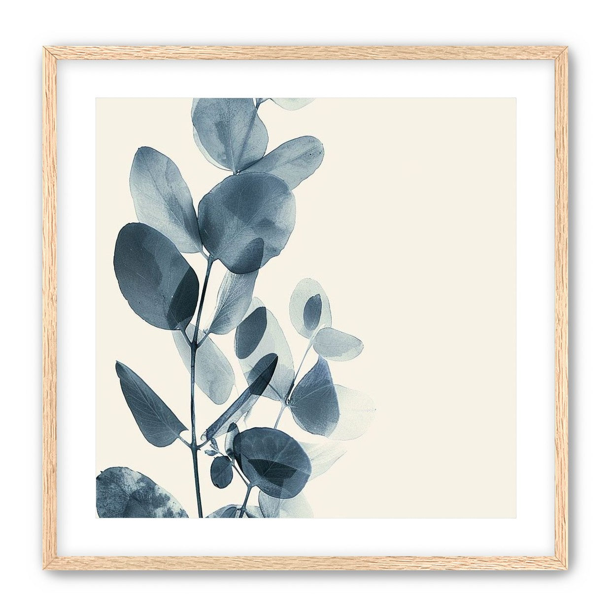 Eucalyptus in quiet blue