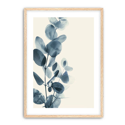 Eucalyptus in quiet blue