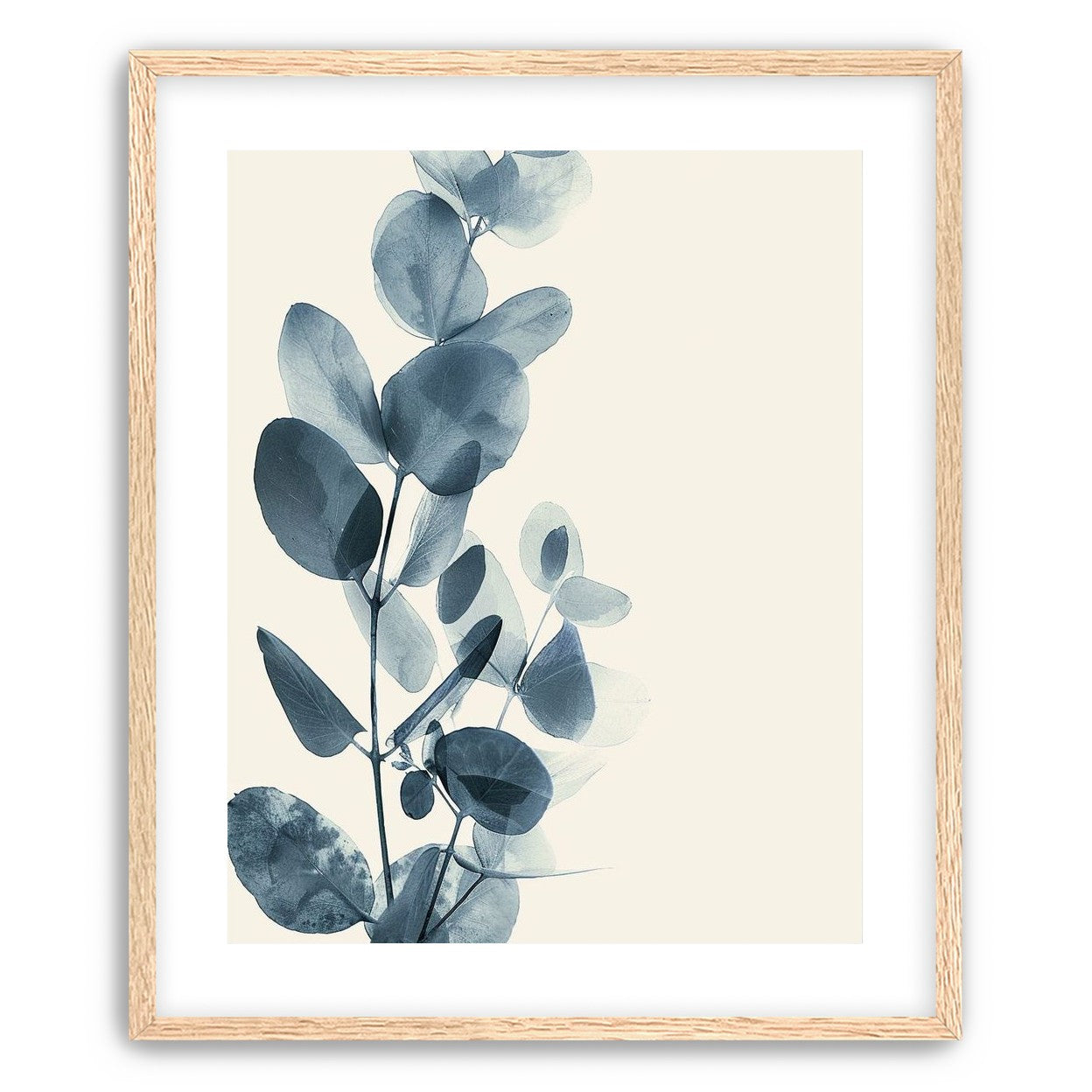 Eucalyptus in quiet blue