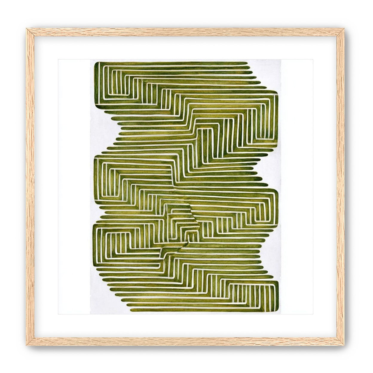 Olive bands in white quiet