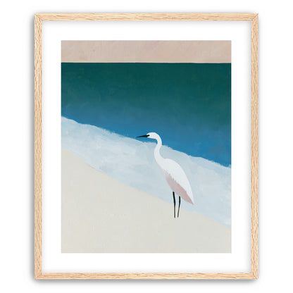 White egret at the shoreline