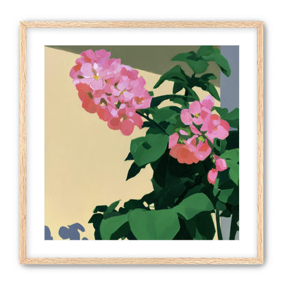 Pink blooms in hard light