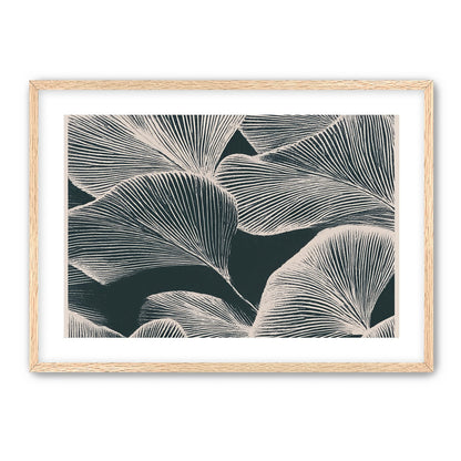 Pale veins on dark leaves