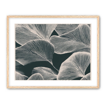 Pale veins on dark leaves