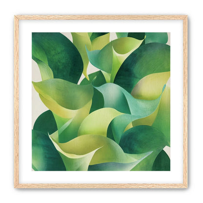 Overlapping curled green leaves
