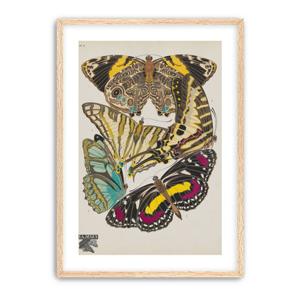 Butterflies among blank paper
