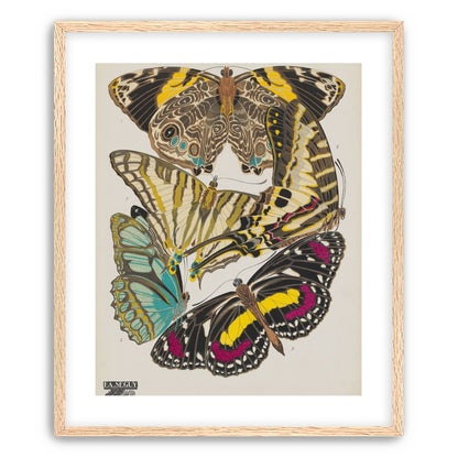Butterflies among blank paper