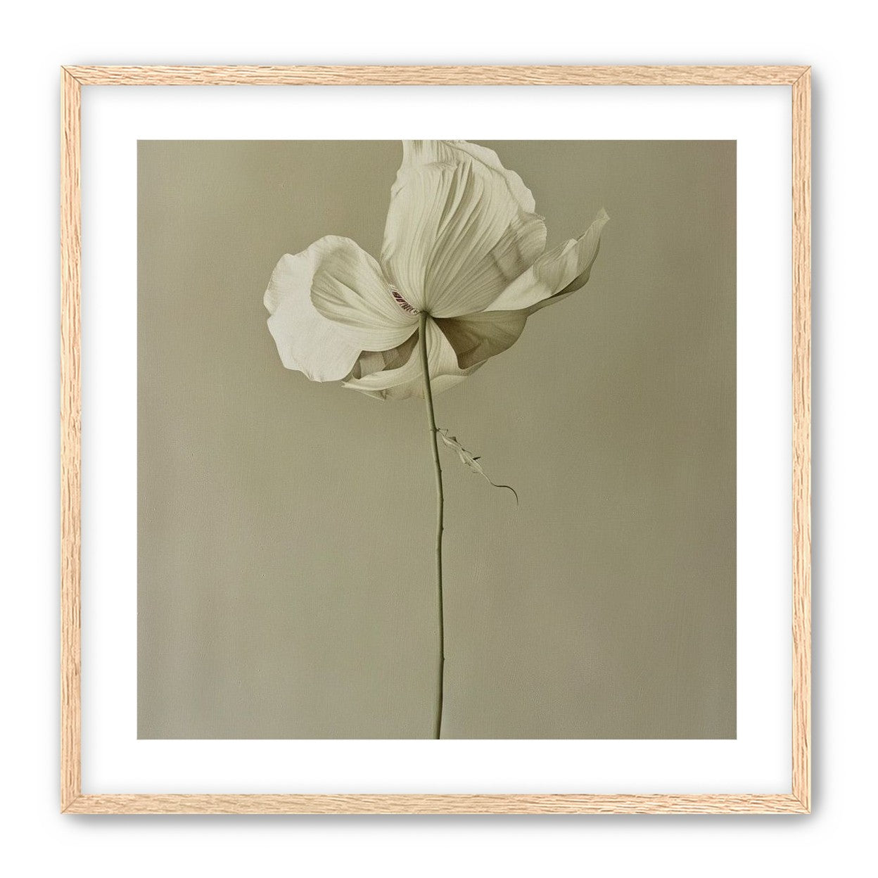 Ivory bloom in gray air
