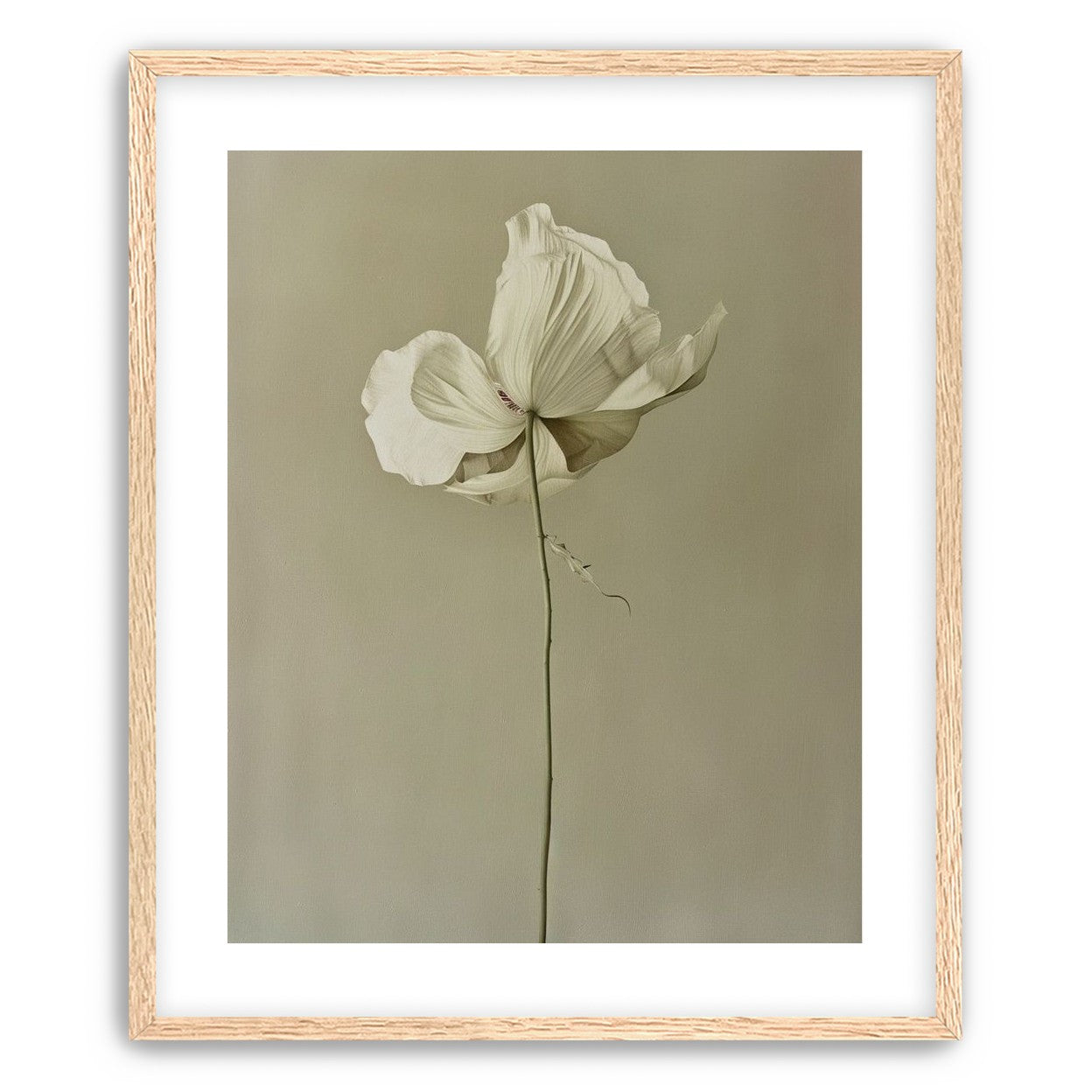 Ivory bloom in gray air