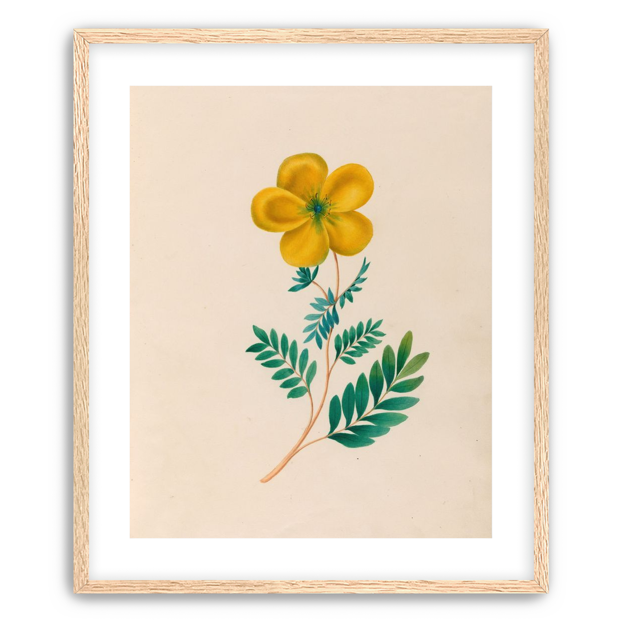 Yellow flower on pale paper