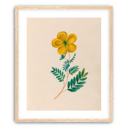 Yellow flower on pale paper