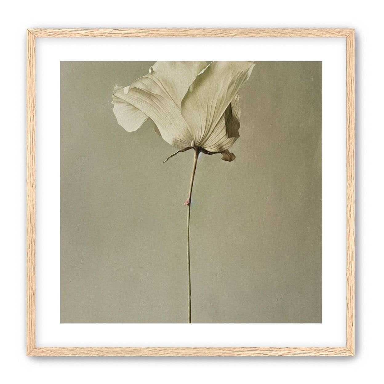 One flower and its hush
