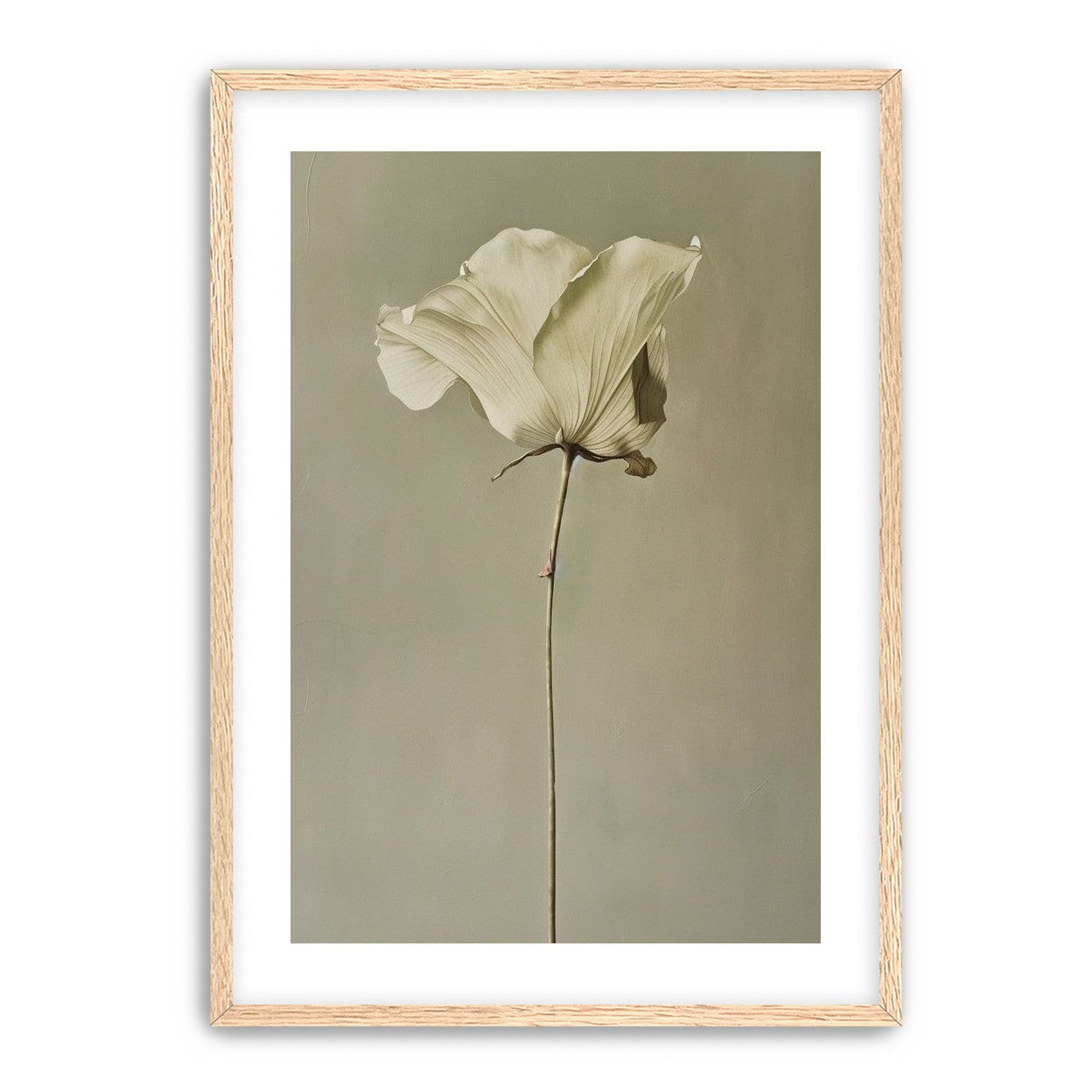 One flower and its hush