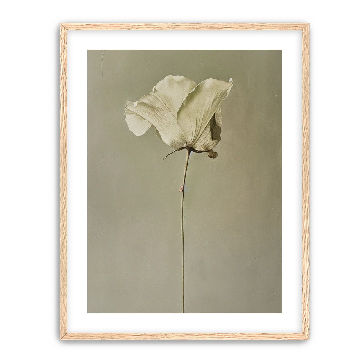 One flower and its hush