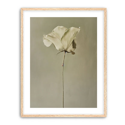 One flower and its hush