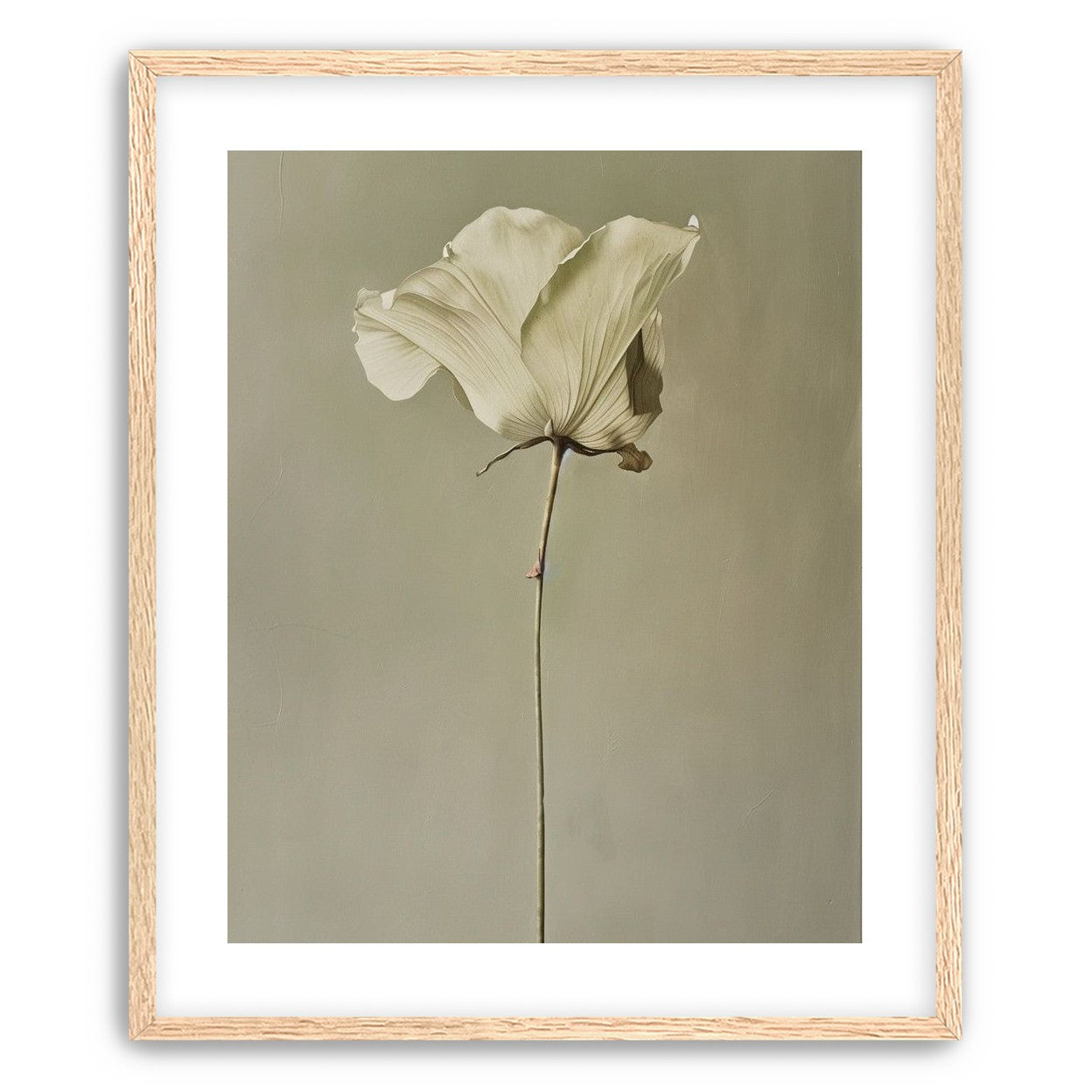 One flower and its hush