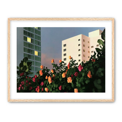 Roses below lit windows