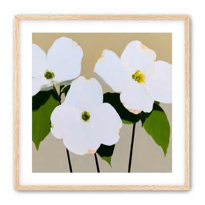 Three white flowers above purple
