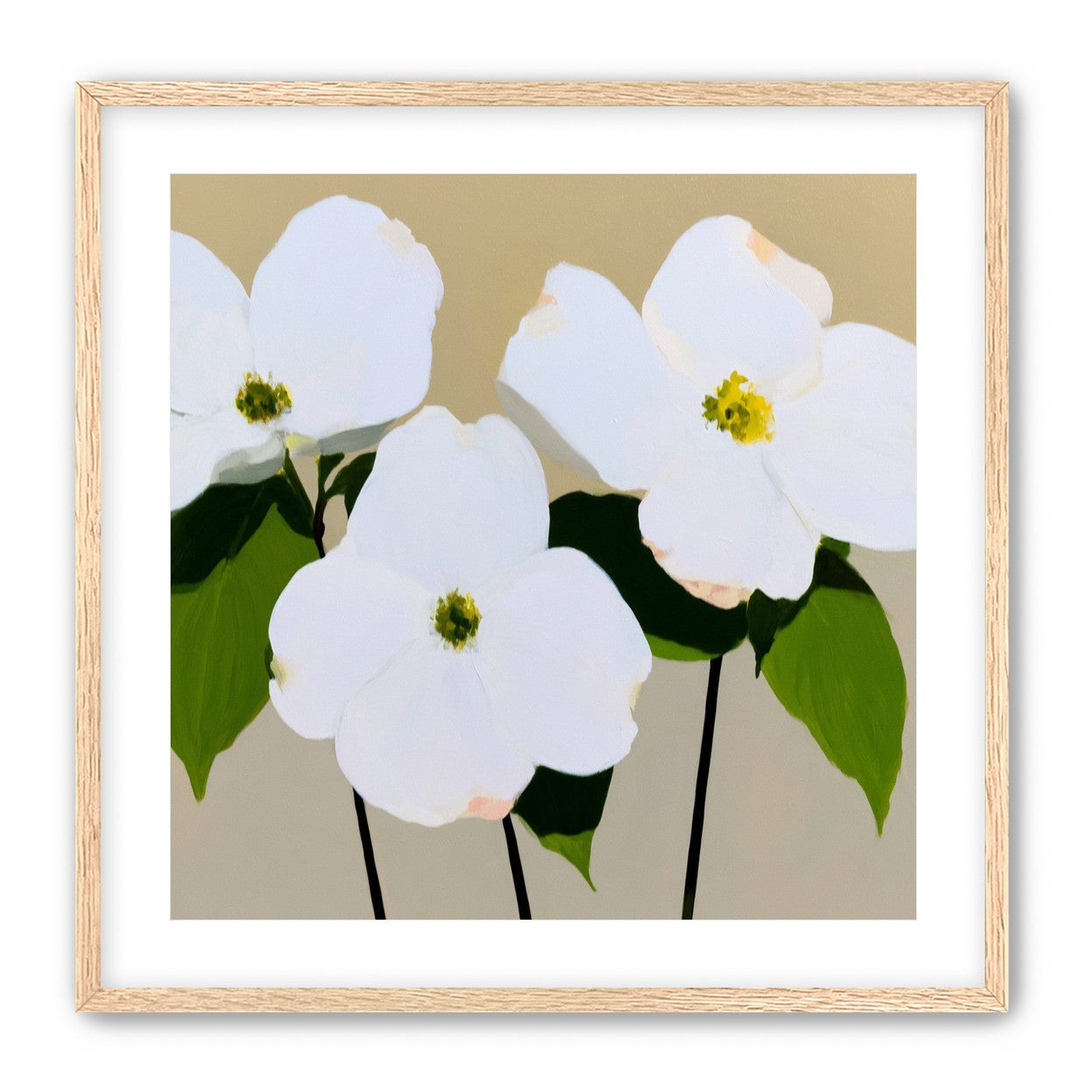 Three white flowers above purple