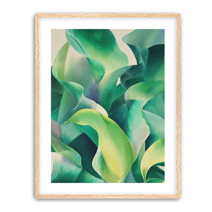 Calla lilies crowd the light