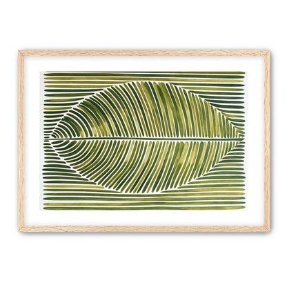 Palm frond in green bands