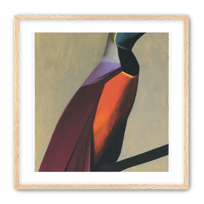 Bright bird on a branch