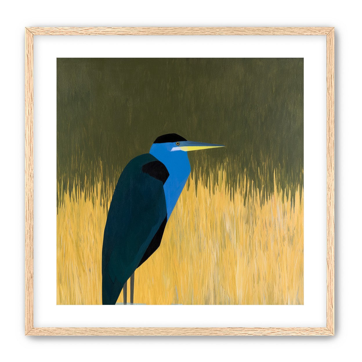Blue bird in yellow grass