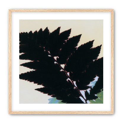 Black leaves on pale ground
