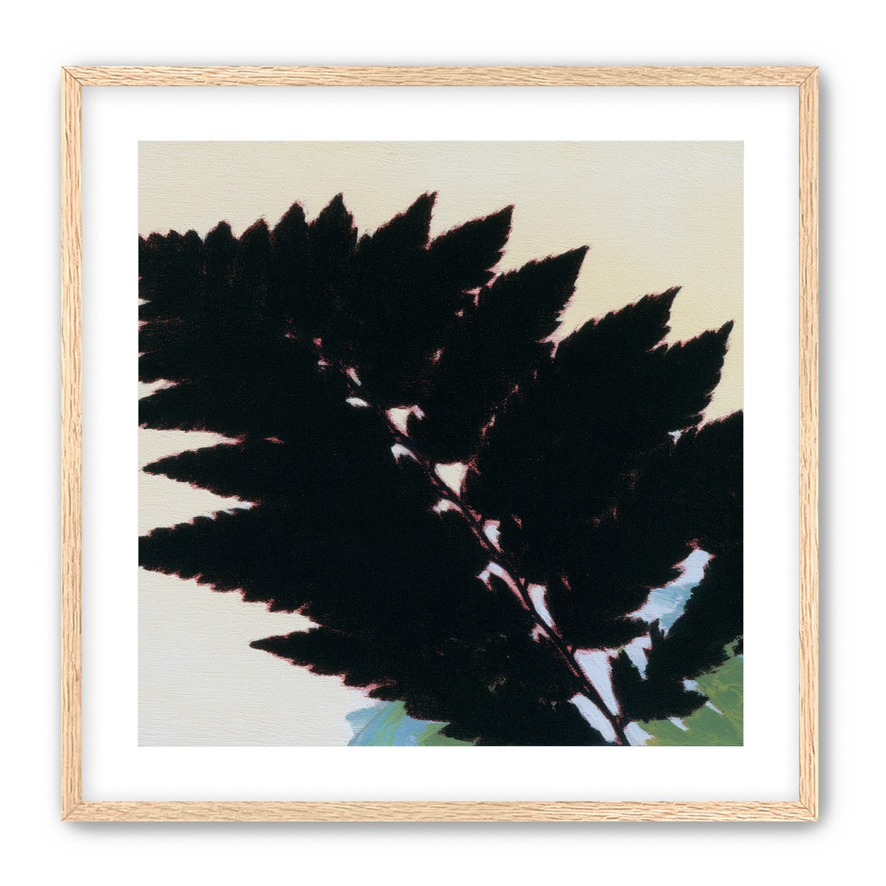 Black leaves on pale ground