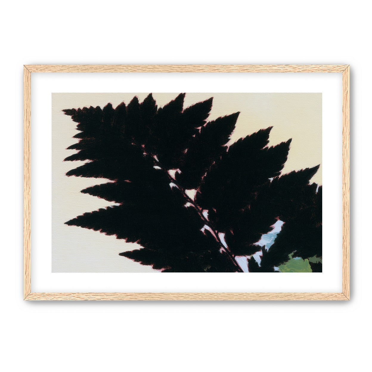 Black leaves on pale ground
